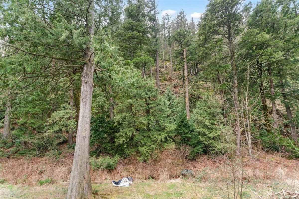 Outdoor Deck Photo of 17 750 Hot Springs Road, Harrison Hot Springs, BC