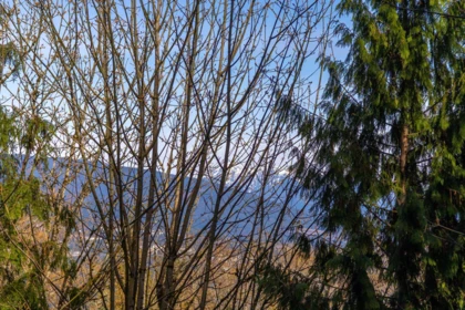 Hot Tub / Spa Photo of 409 9262 University Crescent, Burnaby, BC