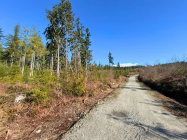 Breakfast Nook Photo of LOT 2 Lockyer Road, Roberts Creek, BC