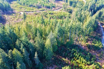 Kitchen Photo of LOT 2 Lockyer Road, Roberts Creek, BC