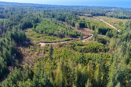 Loft / Bonus Room Photo of LOT 2 Lockyer Road, Roberts Creek, BC