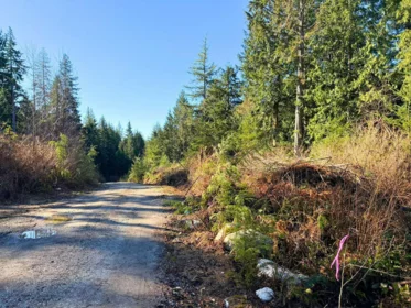 Office / Den Photo of LOT 2 Lockyer Road, Roberts Creek, BC