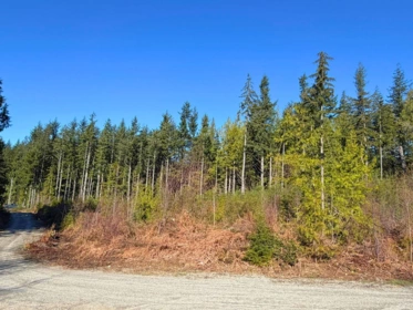 Pantry Photo of LOT 2 Lockyer Road, Roberts Creek, BC
