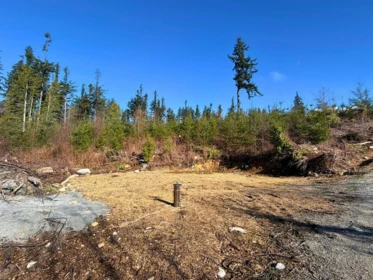 Primary Bedroom Photo of LOT 2 Lockyer Road, Roberts Creek, BC