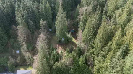 Aerial View of 29310 Dewdney Trunk Road, Mission, BC
