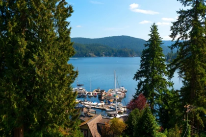 Aerial View of 2867 Panorama Drive, North Vancouver, BC