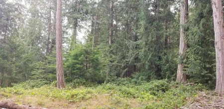 Outdoor Patio Photo of 512 Aya Reach Road, Mayne Island, BC