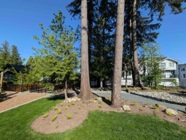Street View Photo of 38 14355 62 Avenue, Surrey, BC