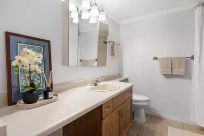 Walk-In Closet Photo of 102 74 Miner Street, New Westminster, BC