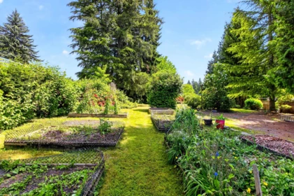 Front Yard Photo of 655 Macintosh Street, Coquitlam, BC