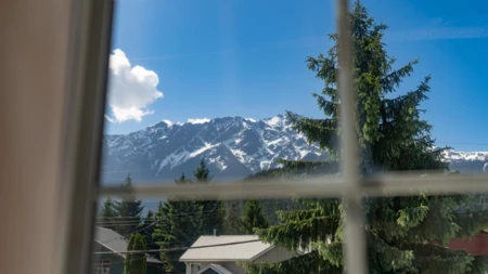 Backyard Photo of 1485 Lupin Street, Pemberton, BC