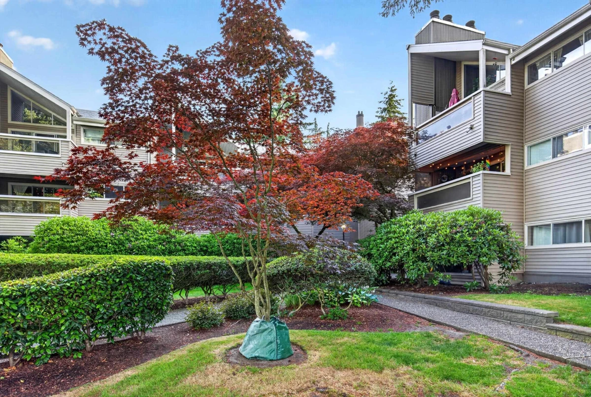Family Room Photo of 305 932 Robinson Street, Coquitlam, BC