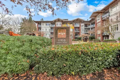 217 11950 Harris Road, Pitt Meadows, BC, Pitt Meadows — Apartment/Condo for sale