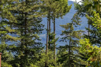 Pantry Photo of 342 Creek Road, Bowen Island, BC