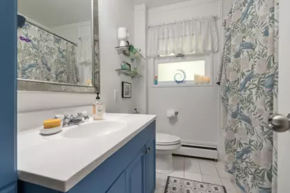 Primary Bathroom Photo of 624 Mountain View Road, Cultus Lake, BC