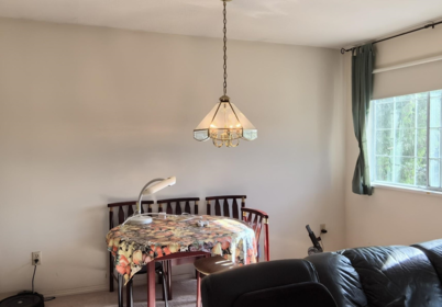 3716 Ulster Street, Port Coquitlam, BC, Port coquitlam — Single Family Residence for sale