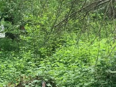 43872 Ryall Road, Mission, BC, Mission — Land for sale