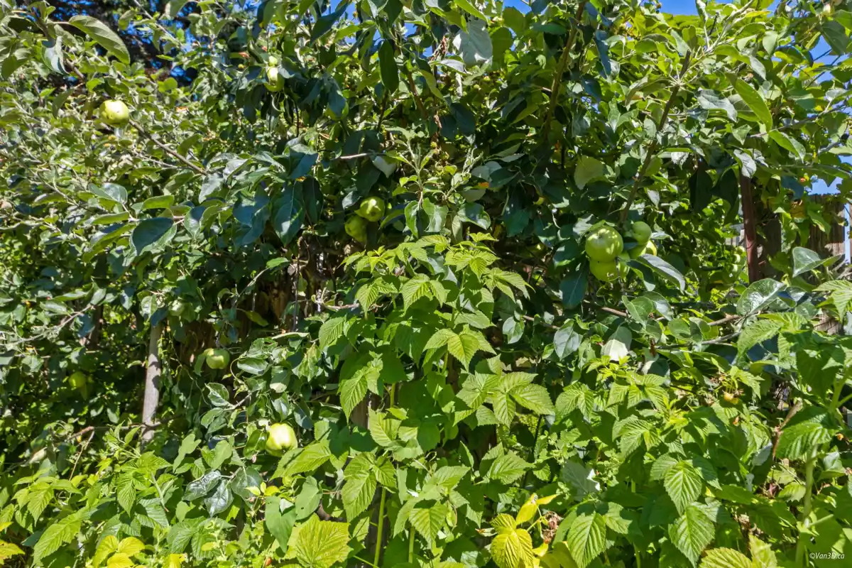 Garage Interior Photo of 1115 Lenora Road, Bowen Island, BC