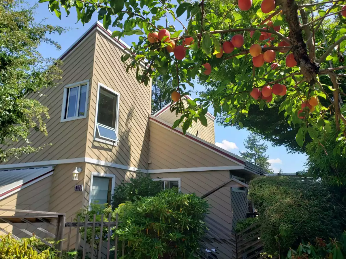 Kitchen Photo of 1115 Lenora Road, Bowen Island, BC