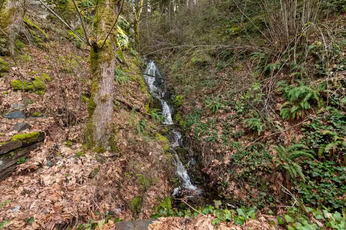 Swimming Pool Photo of 21703 Thacker Mtn Road, Hope, BC