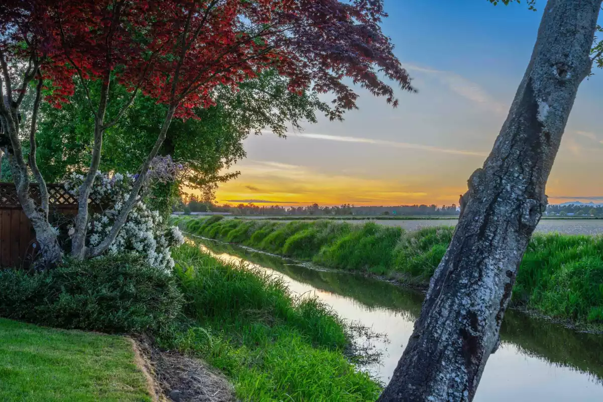 Exterior Rear Photo of 6247 Crescent Place, Delta, BC