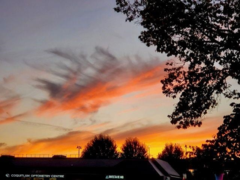 12 20554 118 Avenue, Maple Ridge, BC