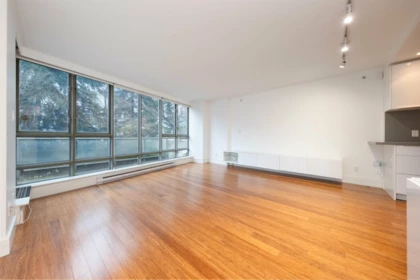 301 930 Cambie Street, Vancouver, BC