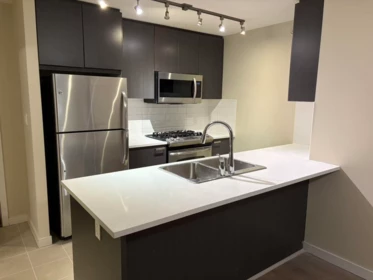 2205 6688 Arcola Street, Burnaby, BC