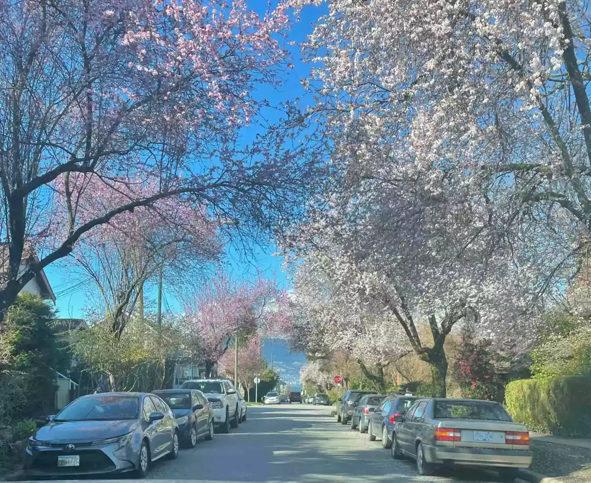 Kitchen Photo of 3044 Point Grey Road, Vancouver, BC