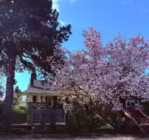 3044 Point Grey Road, Vancouver, BC
