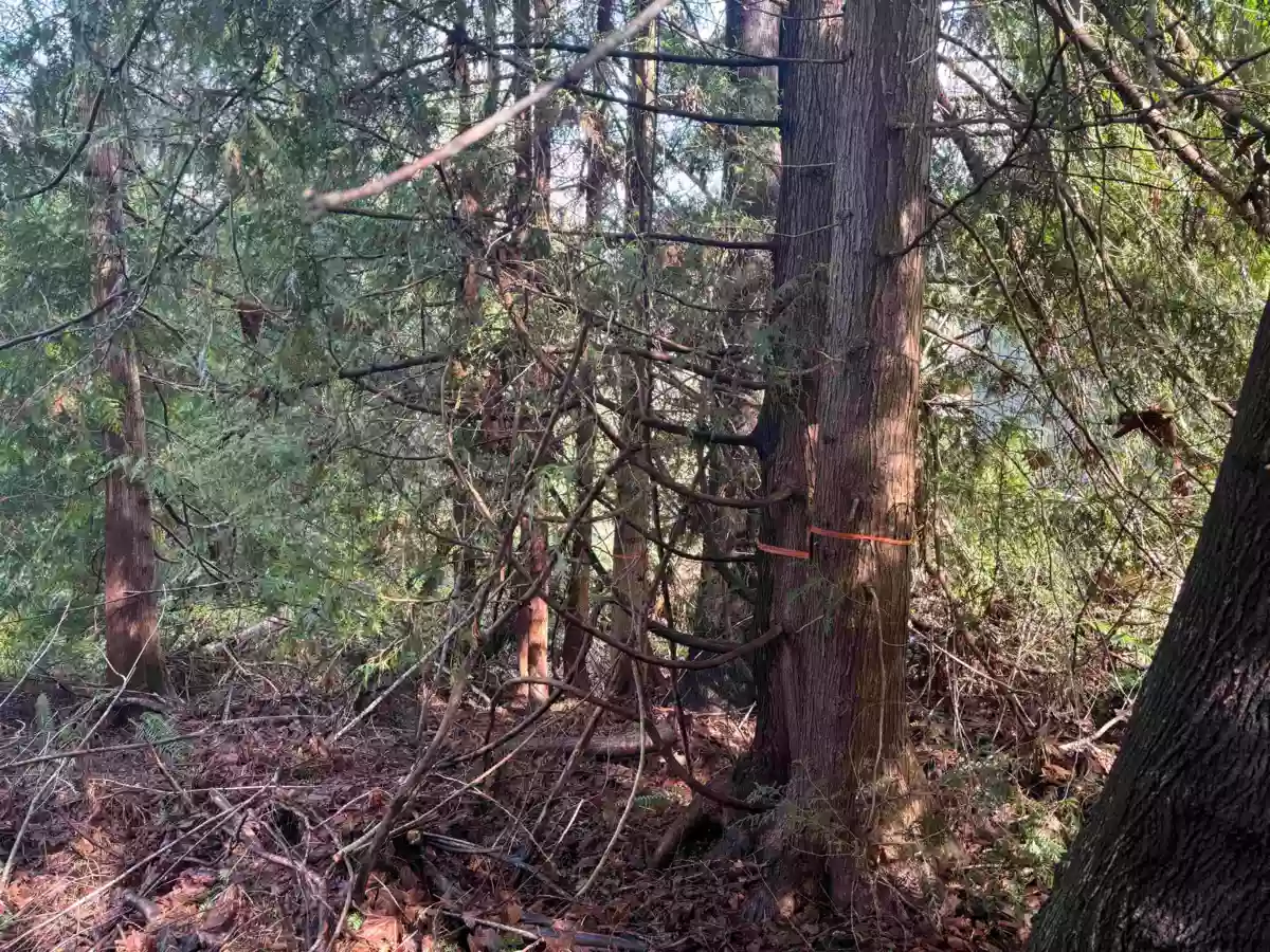 Exterior Rear Photo of LOT 39 Sandy Hook Road, Sechelt, BC