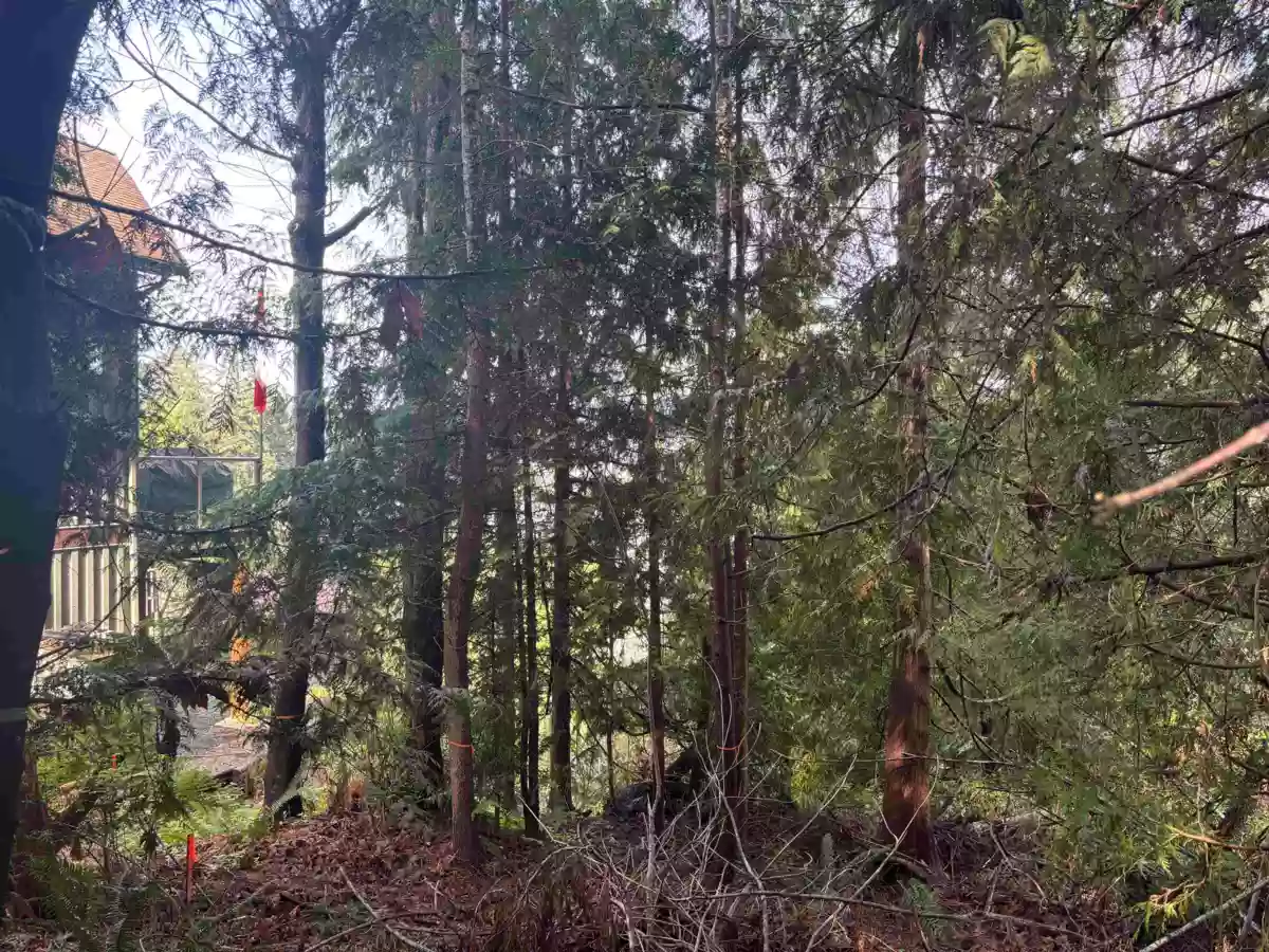 Living Room Photo of LOT 39 Sandy Hook Road, Sechelt, BC