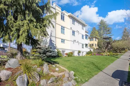 Backyard Photo of 302 2215 Mcgill Street, Vancouver, BC