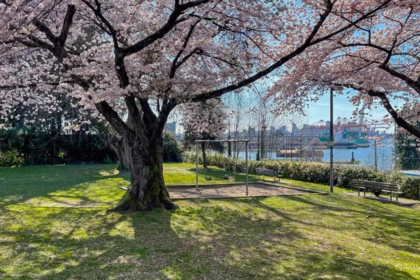 Front Yard Photo of 302 2215 Mcgill Street, Vancouver, BC