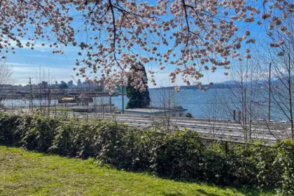Garden / Landscaping Photo of 302 2215 Mcgill Street, Vancouver, BC