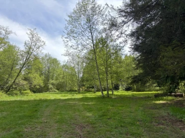 Garden / Landscaping Photo of 1346 Russell Road, Gibsons, BC