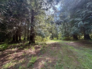 Hot Tub / Spa Photo of 1346 Russell Road, Gibsons, BC