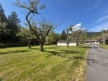 Loft / Bonus Room Photo of 1346 Russell Road, Gibsons, BC