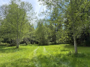 Swimming Pool Photo of 1346 Russell Road, Gibsons, BC