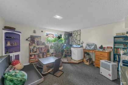 Basement Recreation Room Photo of 2576 Parker Street, Vancouver, BC