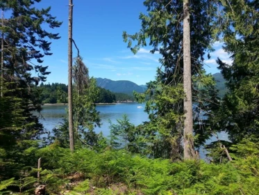 Powder Room Photo of 5830 Marine Way, Sechelt, BC