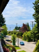 311 1520 Vidal Street, White Rock, BC