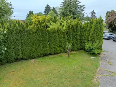 Pantry Photo of 8520 Rosedene Court, Richmond, BC