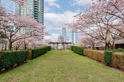 Backyard Photo of 2105 4398 Buchanan Street, Burnaby, BC