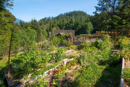Office / Den Photo of 207 726A Belterra Road, Bowen Island, BC
