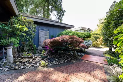 Backyard Photo of 3892 155 Street, Surrey, BC
