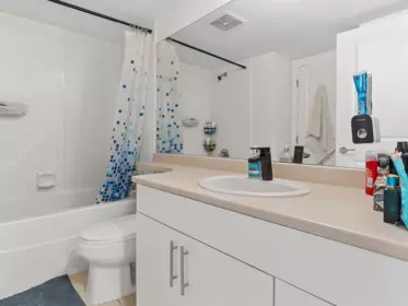 Powder Room Photo of 322 8915 202 Street, Langley, BC