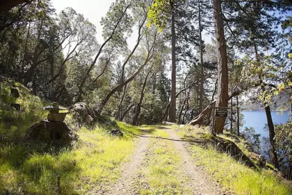 206 Narrows West Road, Salt Spring Island, BC, Salt Spring Island — Land for sale