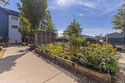 Aerial View of 5835 Wales Street, Vancouver, BC