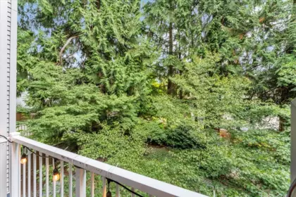 Dining Area Photo of 9 2994 Coast Meridian Road, Port Coquitlam, BC